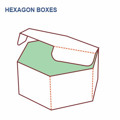 Hexagon Boxes Style