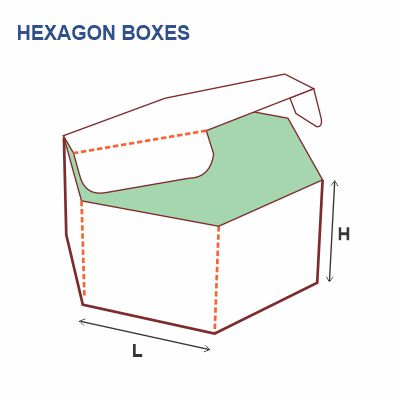 Hexagon Boxes Style