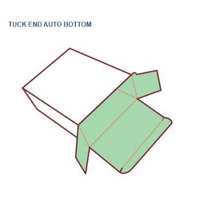 Tuck End Auto Bottom Box Style